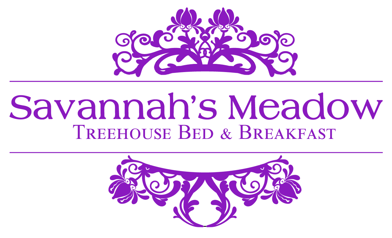 Savannah's Meadow Treehouse Bed & Breakfast